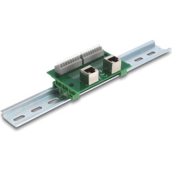 Delock RJ45 2 x female to 2 x Terminal Block with push-button for DIN rail angled