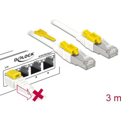Delock Cable RJ45 Secure Cat.6A 3 m