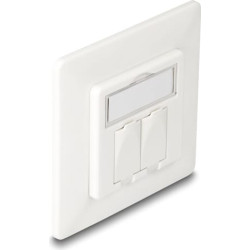 Delock Keystone Wall Outlet 2 Port compact