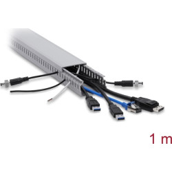 Delock Wiring Duct 50 x 30 mm - length 1 m grey