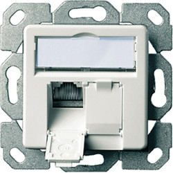Telegärtner Karl Gärtner  TELEGÄRTNER Dose AMJ45 UP/50 2x RJ-45 Kat.5e (Class D), alpinweiss