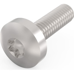 Schroff Panhead Screw, Torx, GND Function, Steel Zinc Plated, M4 × 14 mm, 10 Pieces