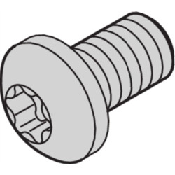 Schroff Panhead Screw, Torx, M2.5 x 6, 100 Pieces