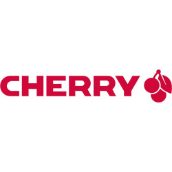 Cherry DW 9100 SLIM keyboard Mouse included Universal RF Wireless + Bluetooth QWERTY UK English Silver