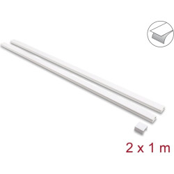 Delock Cable Duct self-adhesive with sliding cover 30 x 14 mm incl. connector - length 1 m pack of 2 pcs white