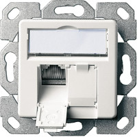 Telegärtner Karl Gärtner  TELEGÄRTNER Dose AMJ45 UP/50 2x RJ-45 Kat.6A (Class EA), perlweiss