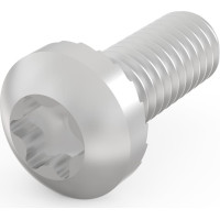 Schroff Panhead Screw, Torx, M4 x 10, 100 Pieces