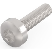 Schroff Panhead Screw, Torx, Steel Nickel Plated, M2.5 x 12 mm