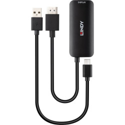 Lindy HDMI to USB Type C Converter with USB Power