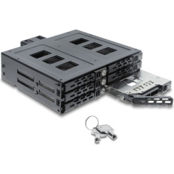 Delock 5.25&Prime; Mobile Rack for 6 x 2.5&Prime; SATA or SAS HDD / SSD with lock