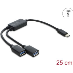 Delock 2 Port USB 5 Gbps Type-A Cable Hub with USB Type-C&trade; connector 25 cm