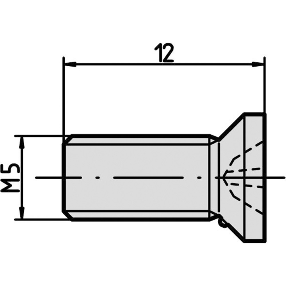 Schroff screws for module and profile rail fastening - NTS SO.SENKSCHR.M5X12 100pcs