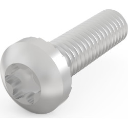 Schroff Panhead Screw, Torx, M4 x 14, 100 Pieces
