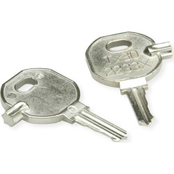 Schroff Ersatzschlüssel Nr. 2233 TX30, 2er-Pack