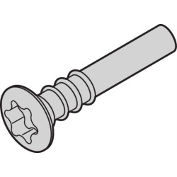 Schroff Countersunk head screw, Torx, 3 x 20, 100 pcs