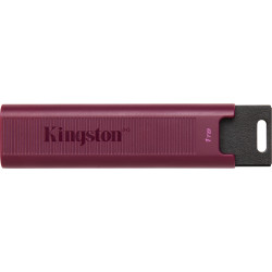 Kingston USB-Stick   1TB Kingston DT-Maxa USB 3.2 retail
