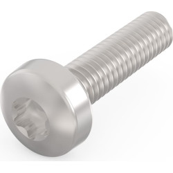 Schroff Panhead Screw, Torx, Steel Nickel Plated, M2,5 × 10 mm, 100 Pieces