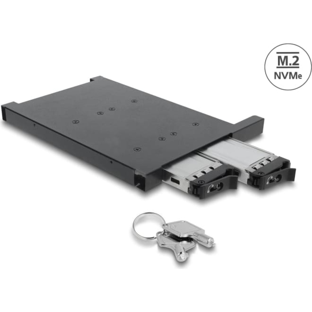 Delock Mobile Rack for 2 x M.2 NMVe SSD with SFF-8654 connector for 12.7 mm Slim ODD Bay