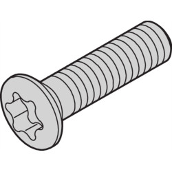 Schroff Panhead Screw, Torx, Self-Forming, St,Zinc-Plated, M2.5 x 10