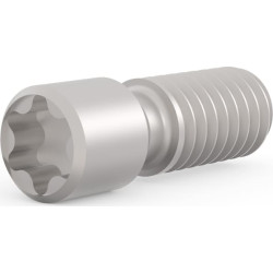 Schroff Grub Screw, Stainless Steel, M2.5 x 9, Torx 8