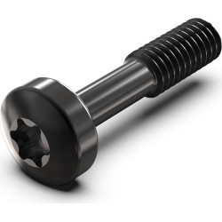 Schroff Collar Screw, Torx M2.5 x 12.3 mm, Steel Black, 100 pieces