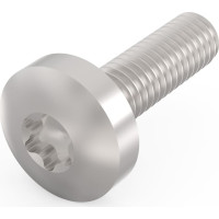 Schroff Panhead Screw, Torx, GND Function, Steel Zinc Plated, M4 × 14 mm, 100 Pieces