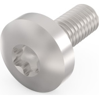 Schroff Panhead Screw, Torx, GND Function, Steel Zinc Plated, M4 × 10 mm, 100 Pieces